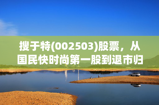搜于特(002503)股票,从国民快时尚第一股到退市归零,普通人炒股踩的坑全在这了