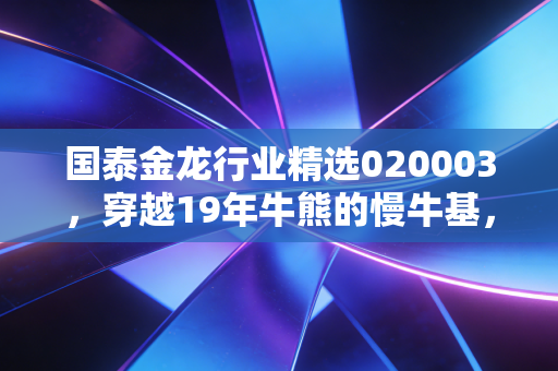 国泰金龙行业精选020003,穿越19年牛熊的慢牛基,到底适合普通人定投吗?
