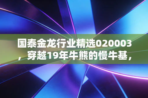 国泰金龙行业精选020003，穿越19年牛熊的慢牛基，到底适合普通人定投吗？