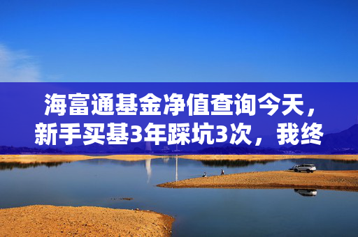 海富通基金净值查询今天,新手买基3年踩坑3次,我终于搞懂看净值不是瞎跟风