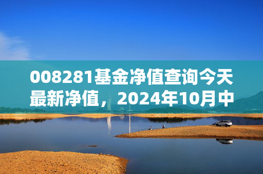 008281基金净值查询今天最新净值,2024年10月中旬最新播报,普通基民该拿这只芯片基怎么办?