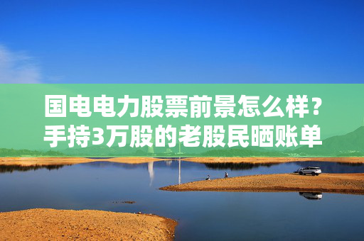 国电电力股票前景怎么样?手持3万股的老股民晒账单,拿了3年,我反而劝普通人别急着上车