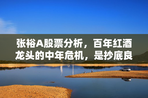 张裕A股票分析,百年红酒龙头的中年危机,是抄底良机还是价值陷阱?