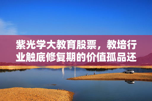 紫光学大教育股票,教培行业触底修复期的价值孤品还是情绪泡沫?