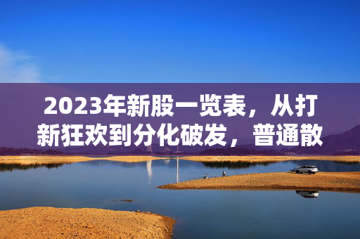 2023年新股一览表，从打新狂欢到分化破发，普通散户的A股淘金启示录