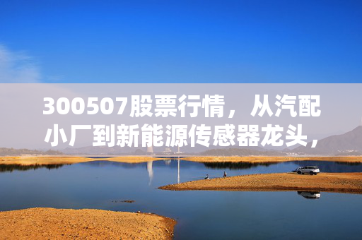 300507股票行情,从汽配小厂到新能源传感器龙头,普通散户的3年持仓心路与后市研判