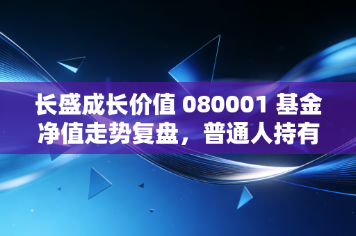 长盛成长价值 080001 基金净值走势复盘,普通人持有12年的真实收益,给我们的投资启示
