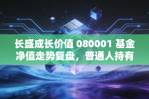长盛成长价值 080001 基金净值走势复盘,普通人持有12年的真实收益,给我们的投资启示