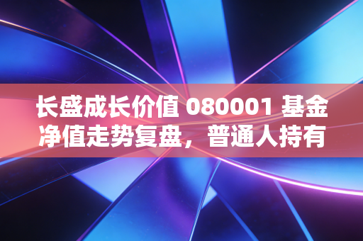 长盛成长价值 080001 基金净值走势复盘，普通人持有12年的真实收益，给我们的投资启示