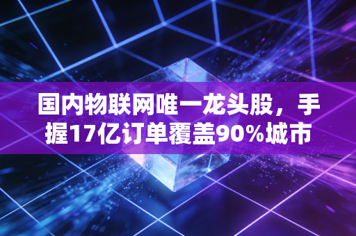 国内物联网唯一龙头股,手握17亿订单覆盖90%城市民生场景,2025年或成下一个万亿级宁德时代?