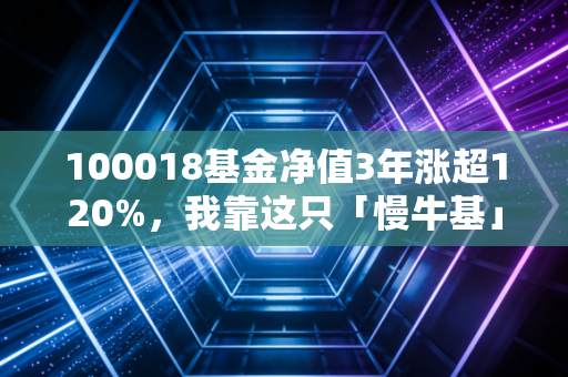100018基金净值3年涨超120%，我靠这只「慢牛基」帮爸妈攒够了关节置换手术钱