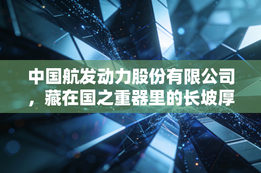 中国航发动力股份有限公司，藏在国之重器里的长坡厚雪，从修飞机的舅舅和小区航模队说起