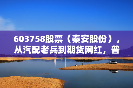 603758股票(秦安股份),从汽配老兵到期货网红,普通散户到底能不能上车?