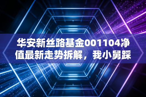 华安新丝路基金001104净值最新走势拆解，我小舅踩过的赛道基坑，今天给你说透