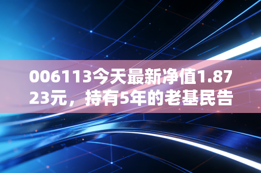 006113今天最新净值1.8723元，持有5年的老基民告诉你，主动基真的能躺赚吗？