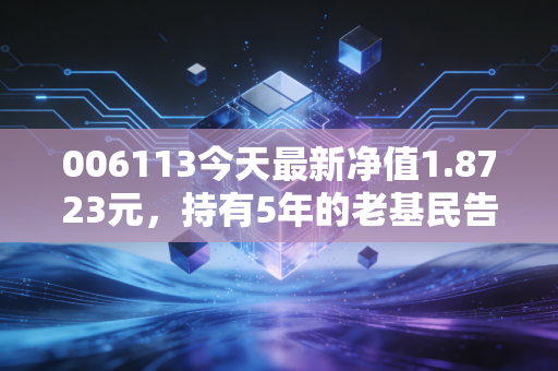 006113今天最新净值1.8723元，持有5年的老基民告诉你，主动基真的能躺赚吗？