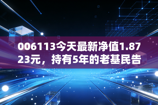 006113今天最新净值1.8723元，持有5年的老基民告诉你，主动基真的能躺赚吗？