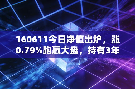 160611今日净值出炉,涨0.79%跑赢大盘,持有3年的基民给我上了一堂生动的投资课