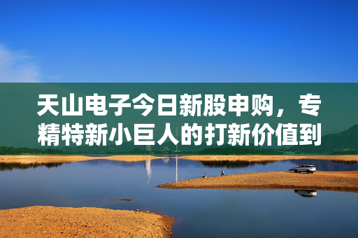 天山电子今日新股申购,专精特新小巨人的打新价值到底有多少?