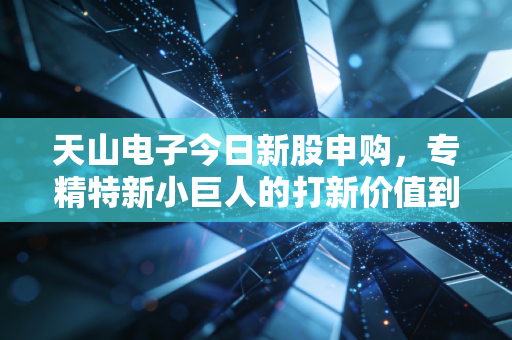 天山电子今日新股申购,专精特新小巨人的打新价值到底有多少?
