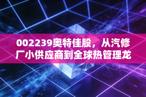 002239奥特佳股，从汽修厂小供应商到全球热管理龙头，普通散户持仓3年的真实感悟