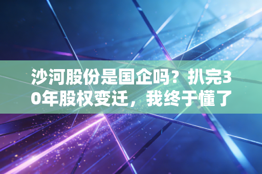 沙河股份是国企吗?扒完30年股权变迁,我终于懂了散户炒国企概念踩坑的核心逻辑