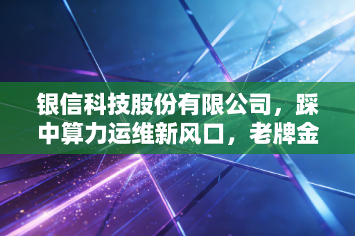 银信科技股份有限公司，踩中算力运维新风口，老牌金融IT服务商的破局与进阶