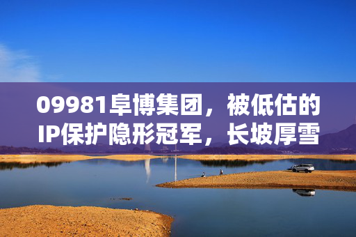 09981阜博集团,被低估的IP保护隐形冠军,长坡厚雪赛道里的价值洼地?