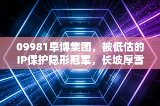 09981阜博集团,被低估的IP保护隐形冠军,长坡厚雪赛道里的价值洼地?
