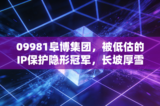 09981阜博集团,被低估的IP保护隐形冠军,长坡厚雪赛道里的价值洼地?