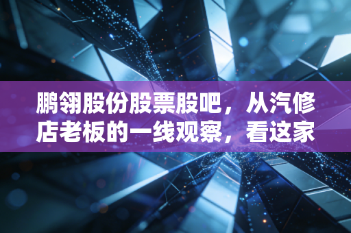 鹏翎股份股票股吧,从汽修店老板的一线观察,看这家汽配小龙头的真实投资价值