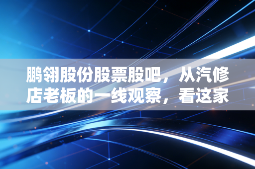 鹏翎股份股票股吧，从汽修店老板的一线观察，看这家汽配小龙头的真实投资价值