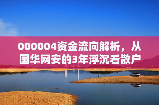000004资金流向解析,从国华网安的3年浮沉看散户如何跟着资金信号避坑赚稳钱