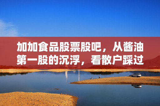 加加食品股票股吧，从酱油第一股的沉浮，看散户踩过的那些坑和破局思路