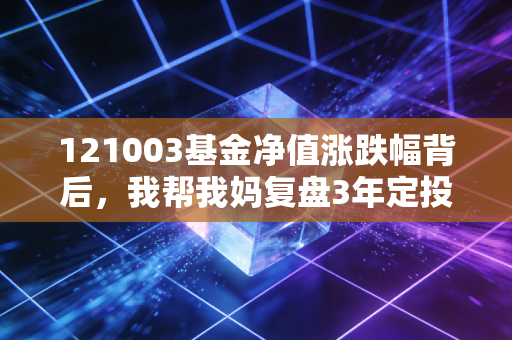 121003基金净值涨跌幅背后，我帮我妈复盘3年定投盈亏，普通人买主动基真的能躺赚吗？