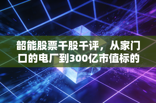 韶能股票千股千评，从家门口的电厂到300亿市值标的，普通散户该拿还是该抛？