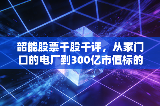 韶能股票千股千评，从家门口的电厂到300亿市值标的，普通散户该拿还是该抛？