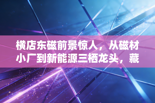 横店东磁前景惊人，从磁材小厂到新能源三栖龙头，藏在横店影视城背后的增长巨兽