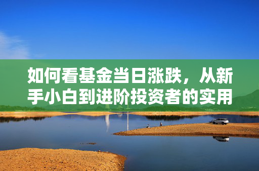 如何看基金当日涨跌，从新手小白到进阶投资者的实用指南