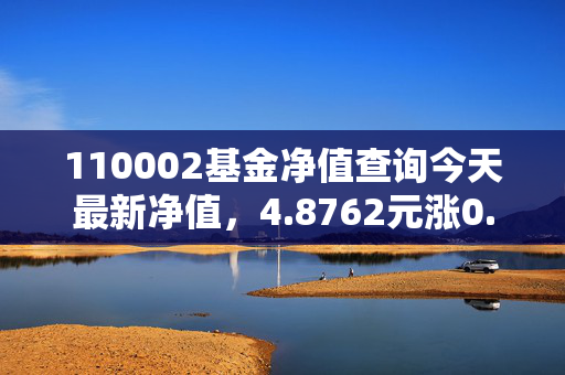 110002基金净值查询今天最新净值，4.8762元涨0.72%！持基5年的老投资者掏掏这只常青基的实底