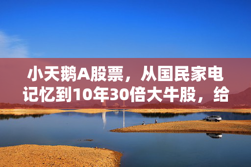 小天鹅A股票，从国民家电记忆到10年30倍大牛股，给普通散户的3个扎心启示