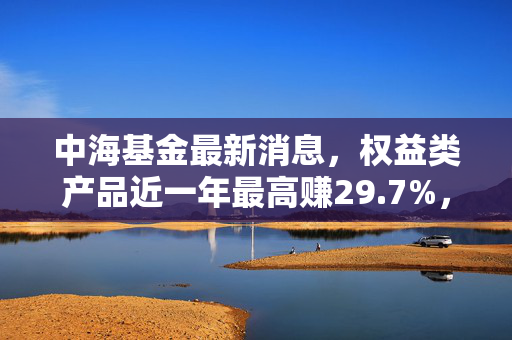 中海基金最新消息,权益类产品近一年最高赚29.7%,普通基民到底该怎么跟上节奏?