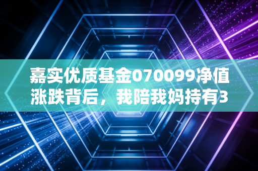 嘉实优质基金070099净值涨跌背后，我陪我妈持有3年的养基心得，普通家庭真的能靠它赚零花钱吗？
