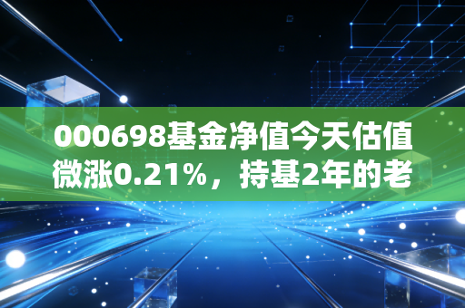 000698基金净值今天估值微涨0.21%，持基2年的老玩家给你说透这只基的真实价值
