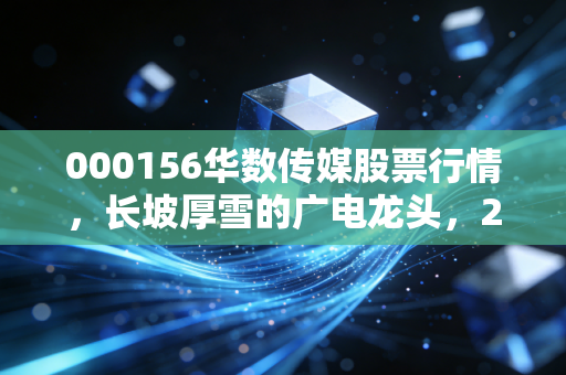 000156华数传媒股票行情,长坡厚雪的广电龙头,2024年还有多少估值修复空间?