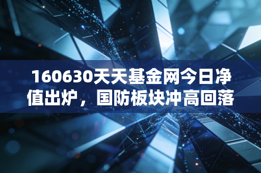 160630天天基金网今日净值出炉，国防板块冲高回落背后，普通人投军工基该踩准哪些节奏？