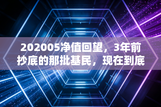 202005净值回望，3年前抄底的那批基民，现在到底赚了多少钱？