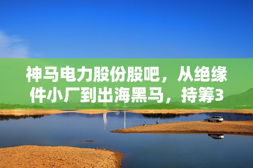 神马电力股份股吧,从绝缘件小厂到出海黑马,持筹3年的老散聊透这只票的赌性与底气