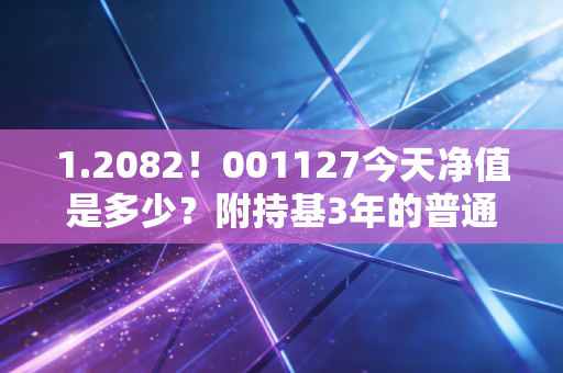 1.2082!001127今天净值是多少?附持基3年的普通人实操心得