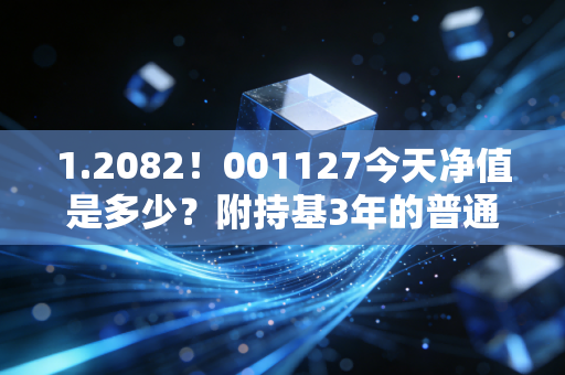 1.2082!001127今天净值是多少?附持基3年的普通人实操心得